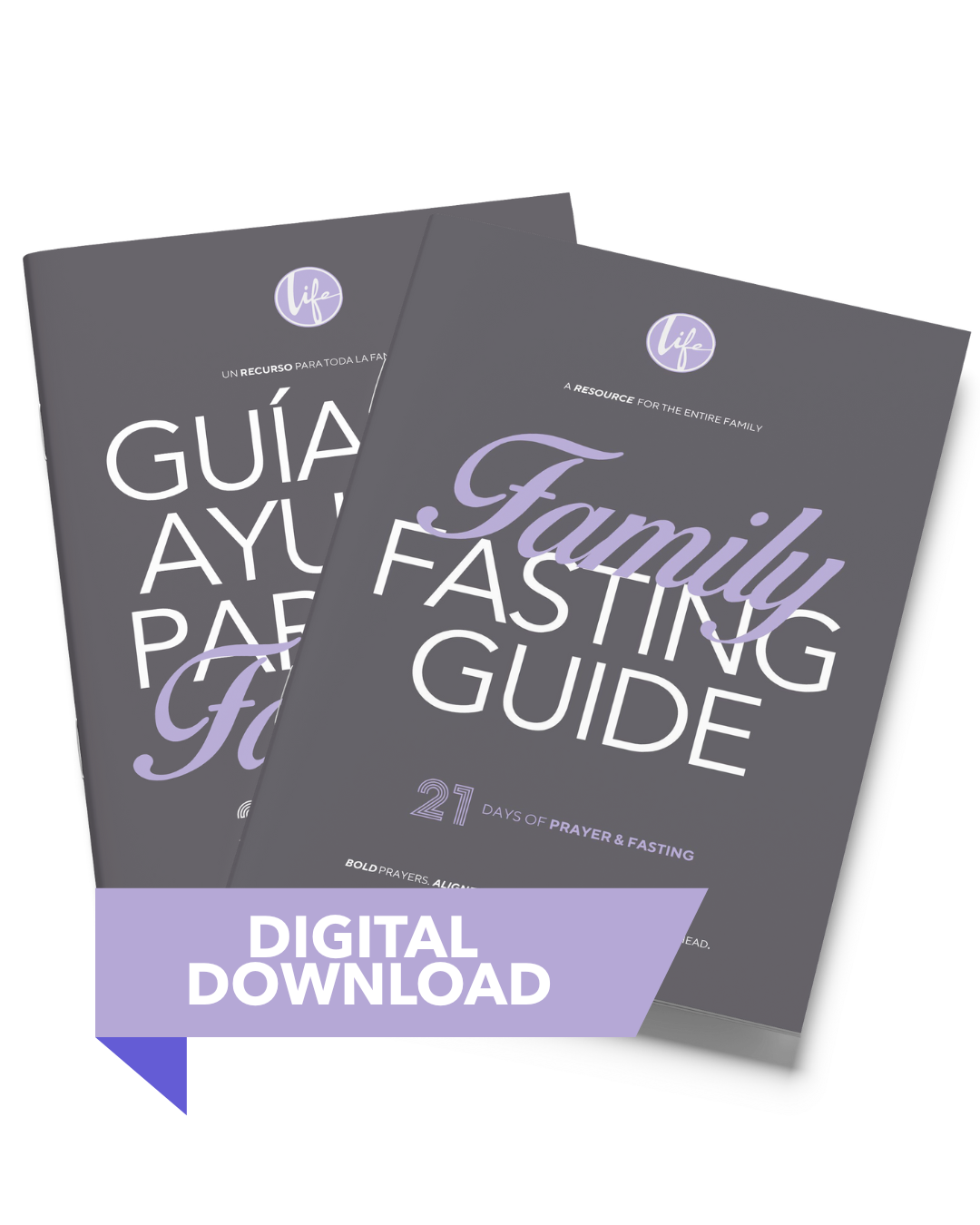 Download your Guide!